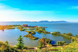 翠湖：鸟精的复仇