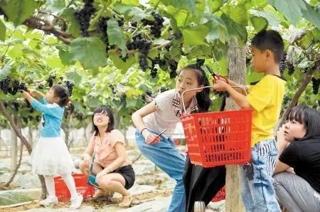 带着娃去撒欢儿这才是正经事