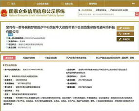 了解公司名称的构成与规范性