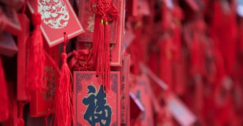 闽南春节：古今交融，传统焕新颜