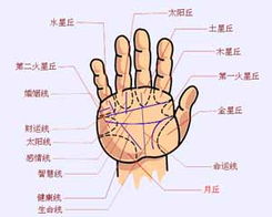 南宁哪里看手相最专业？