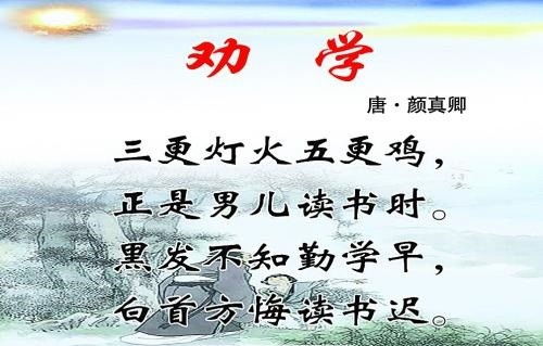 敲山震虎的生肖是虎，敲山震虎打一草药名是什么意思？指的是用虎杖根制成的草药。