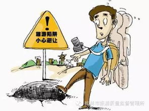 拒绝陷阱，享受旅行
