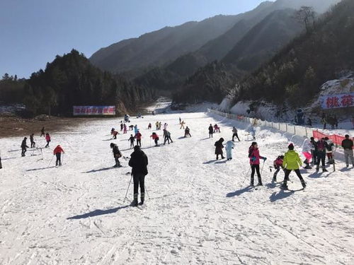 慕尼黑冬季滑雪胜地：探索阿尔卑斯山的雪域乐园