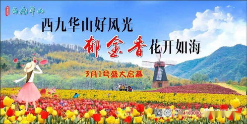 优惠活动较大放送！