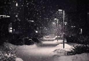雪夜程门立雪——阴阳交错的星宿暗潮