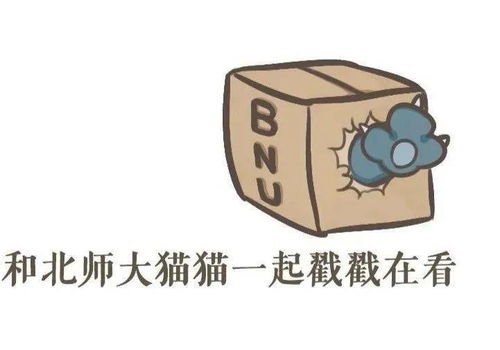 *噪音* —— 我不想给您打断哦~但还是要提醒您：