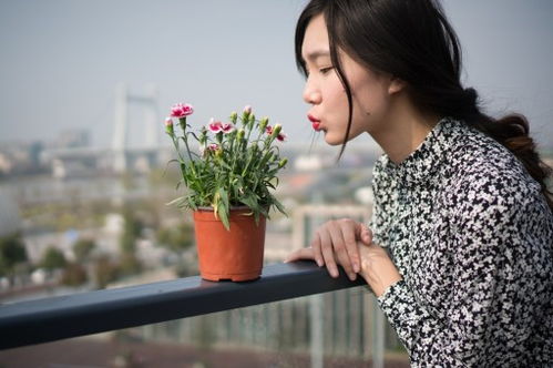 朱女士：
