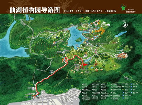 2026年最新避坑指南