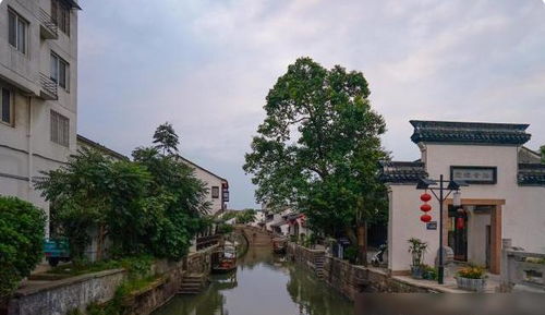 旅行体验
