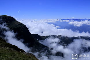 1. 大山包国家公园：黑颈鹤的家园与云海奇观