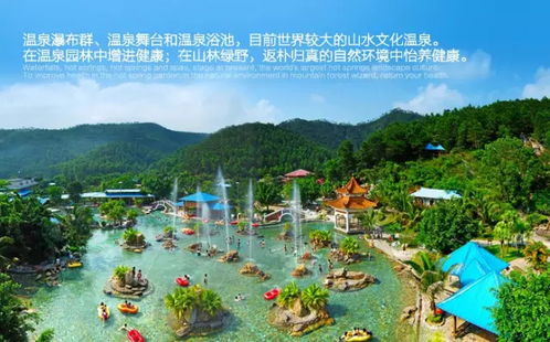 特色活动较大盘点