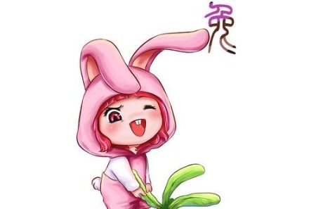 火兔的本命年运势