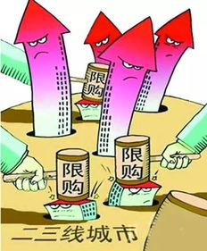 限购背后的