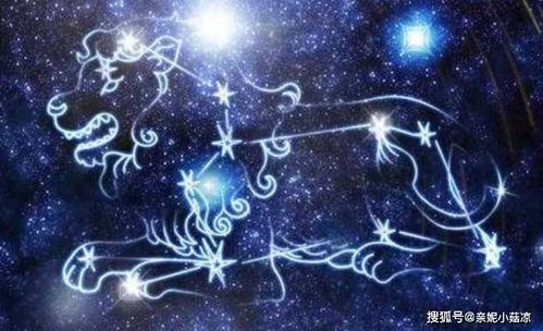 狮子座：傲娇大猫