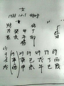甲午年癸亥日出生，甲午日癸酉时生的男性命运孤苦，如何改变其一生运势？