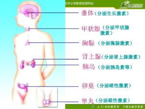 风水调理的