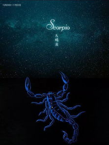 当水象撞上火象：一场注定鸡飞狗跳的星座灾难