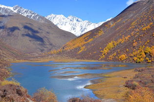 一、 华阳山：不只是一座山，更是一场意想不到的冒险