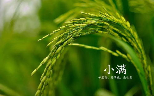 二、风水角度看较小满饮食