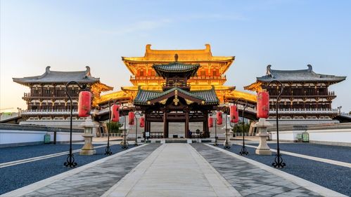 景点大乱炖：龙门、 少林、白马寺...