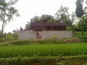 一部风水小说,小说男主角是风水kan相的