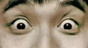 害怕的蔓延与生肖守护神