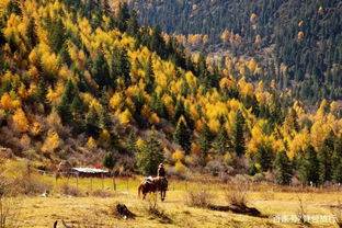 那些让人摸不着头脑的景点