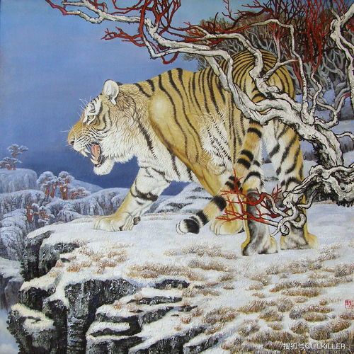1986年属虎的人在本命年财运如何？
