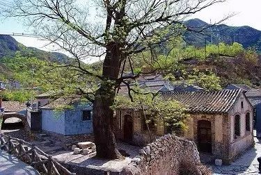 古村的前世今生：一个老头儿的碎碎念