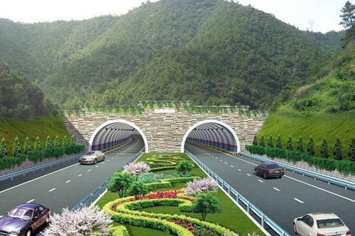 扫墓路上的心跳加速：一次交通噩梦的回忆