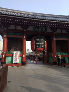 四、 旅行小技巧 & “噪音”提醒 🚨🚨🚨