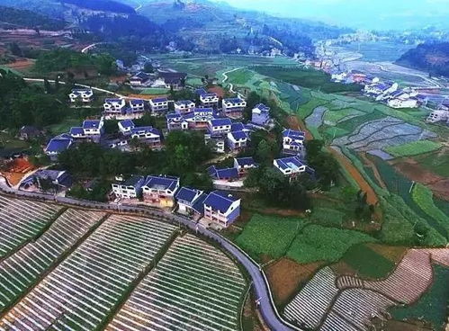 手工体验：孩子们玩得不亦乐乎（家长累趴了）