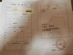 属蛇的，本命年的纠结