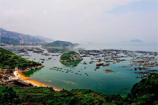 金鸡岭：2026年最新月光诈骗现场