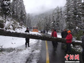 景区的“借风计划”：把气象数据变成游玩路线