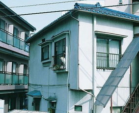 过冬风水禁忌大全,农村住宅风水禁忌大全