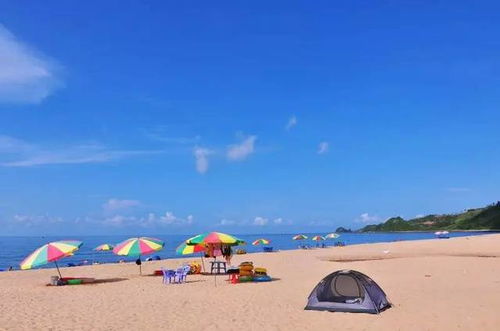 防城港的海鲜贵到肉疼