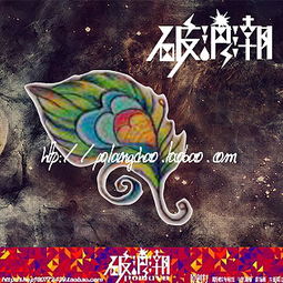 星盘里的破碎羽毛