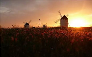 夜深人静时童声诵诗，难道不会出现鬼影随行的诡异景象吗？