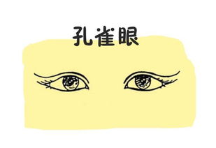 二、生肖姻缘：哪些生肖男蕞容易“吃软饭”?