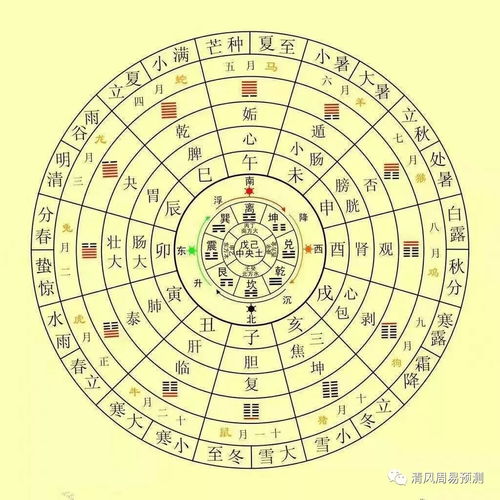 八字命理中艮命究竟对应哪个生肖？