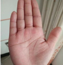 手相看命运！川字掌太惨了！