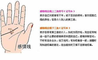 如何同过手相和八字分析命宫与财运的关系，预测一个人一生的财运？