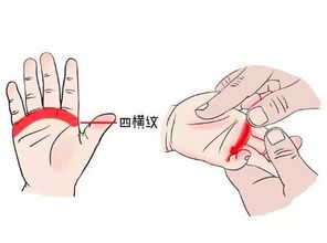 头痛欲裂？那是太阳穴里的火气在烧房子