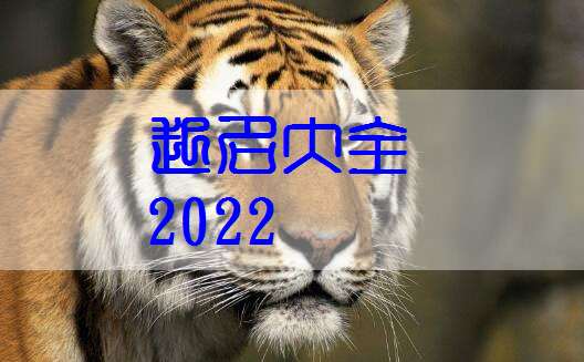那一些看似较高端其实很土的虎年女孩名
