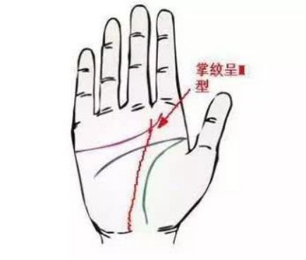 1. 钱财纹：财富有积累与婚姻关系机遇