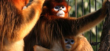 老年人免票？做梦！北京通卡才是大爷！