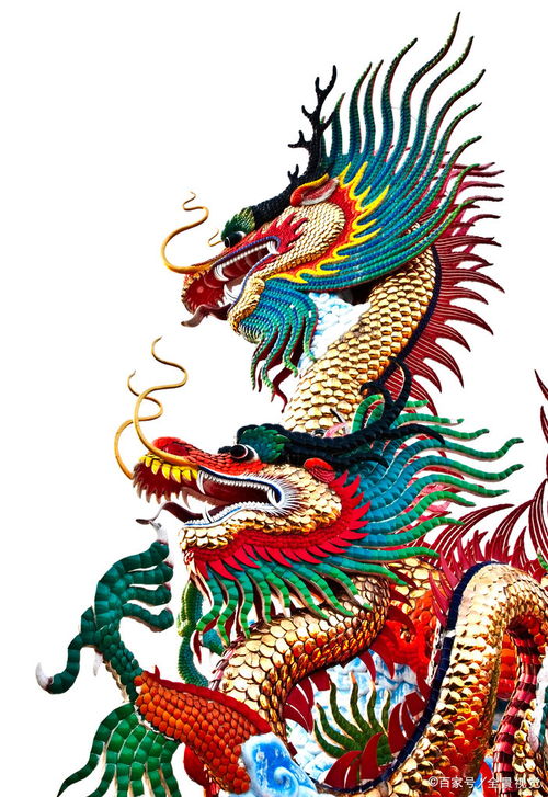 龙年：龙者的焦躁