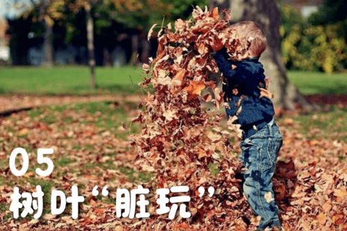 馨卉：花香四溢，  生机勃勃